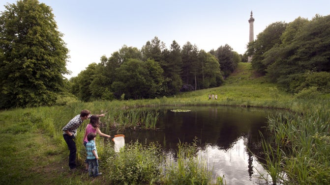 An adult and two children looking at newts in the pond at Gibside in Northumberland